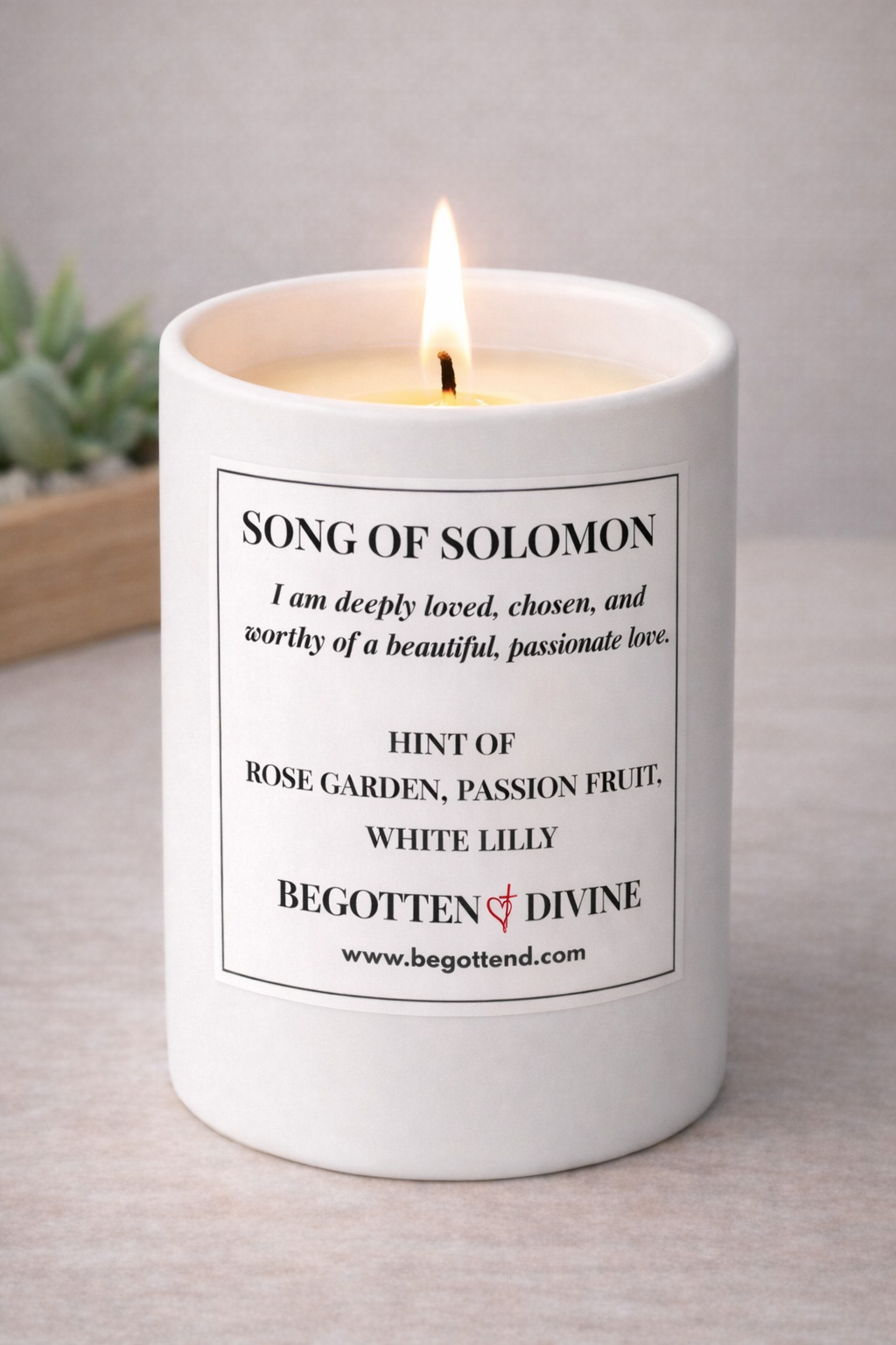 Song of Solomon Candle - 12 oz (340 gm)