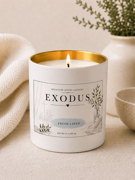 Exodus | Gold Vessel Candle | 10 oz